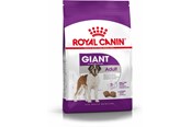 Psy - Royal Canin Giant Adult - 3182550703079