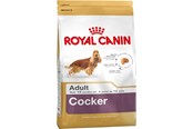 Psy - Royal Canin Adult Cocker - dry dog food - 12 kg - 3182550811538