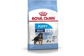 Psy - Royal Canin Maxi Puppy - 3182550402149