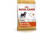 Psy - Royal Canin Miniature Schnauzer Adult - 3182550730587