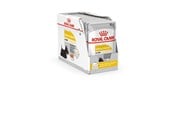 Psy - Royal Canin Dermacomfort - Wet dog food - 12 x 85 g - 9003579008812