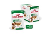 Psy - Royal Canin Mini Adult - wet dog food - 12 x 85g - 9003579008249