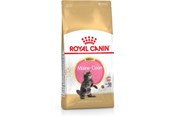 Koty - Royal Canin Maine Coon Kitten- dry cat food - 4 kg - 3182550770958