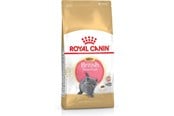 Koty - Royal Canin British Shorthair Kitten cats dry food - 3182550816533
