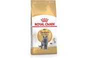 Koty - Royal Canin British Shorthair - dry cat food - 2 kg - 3182550756419