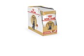 Koty - Royal Canin British Shorthair packet 12x85g - 9003579001240