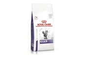 Koty - Royal Canin Dental - dry cat food - 1,5kg - 3182550722308