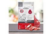 Psy - Platinum 4260208740658 dogs dry food - 4260208740658