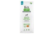 Psy - Brit Adult Large Breed Salmon - dry dog food - 12 kg - 8595602558896