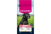 Psy - Eukanuba Senior Large and extra large breeds Chicken - dry dog food - 15kg - 8710255202211