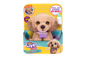 Zestawy do zabawy - Little Live Pets My Really Real Daxie Puppy - 26805