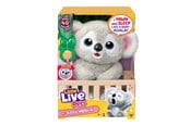 Zestawy do zabawy - Little Live Pets MY BABY KOALA - 26840