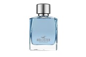 Perfumy i zapachy - Hollister Wave For Him Edt 100 ml - 0085715000941