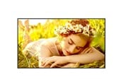 Monitory reklamowe i Telewizory hotelowe - LG 50UL5Q-E Signage Display - 50UL5Q-E