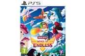 Gry - Wings of Endless (Delixe Edition) - Sony PlayStation 5 - Akcji/Przygodowa - 8436016713160