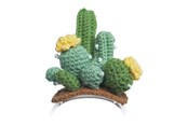 Gadzety - Loona Premium Cactus Knitted Costume - 99904CK00015