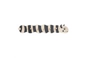 Akcesoria dla niemowląt - OYOY MINI Wieszak Larva - M107576