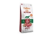 Psy - Calibra Life Senior Large Fresh Beef - dry dog food - 12kg - 8595706701273