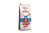 Psy - Calibra Dog Life Adult Medium Fresh Beef - dry dog food - 12kg - 8595706701211