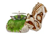 Figurki - GrossMos Flying dino assorted - 521549