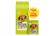 Psy - PURINA NESTLE Dog Chow Adult Lamb - dry dog food - 14 + 2.5kg - 8445291654679