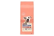 Psy - PURINA NESTLE DOG CHOW Sensitive Adult 14 kg Salmon - 7613034488244