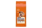 Psy - PURINA NESTLE Dog Chow Mature Senior with lamb - dry dog food - 14 kg - 7613287575456