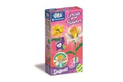 Kreatywne gry - Clementoni Small Fragrant Flower - Daffodil - 18180