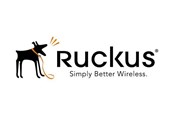 Serwis i wsparcie - Ruckus Wireless Ruckus BullDog Support - S24-VSCG-1L00