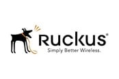 Serwis i wsparcie - Ruckus Wireless Ruckus BullDog Support - S24-VSZD-1L00