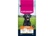 Psy - Eukanuba Premium Nutrition Puppy Junior & Giant Breed Chicken - dry dog food - 15kg - 8710255201795