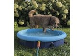 Psy - Nobby 2 i 1 Splash-Pool Ø 160 cm - L62299
