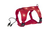 Psy - Nobby Seletøj Flash Mesh L Rød - L80752-01