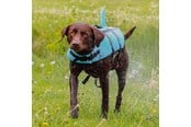 Psy - Nobby Redningsvest Sharki Blå XL - L61034