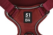 Psy - 51 Degrees North 51 - Wanderful - H Harness - Trail - Burgundy - S - 51AWFHT203