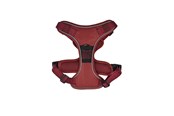 Psy - 51 Degrees North 51 - Wanderful - H Harness - Trail - Burgundy - XS - 51AWFHT202