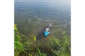 Psy - Nobby Blæksprutte Floating - L62516