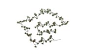 Dekoracje - Bloomingville Cedar - 82072373