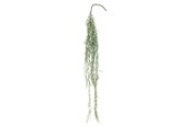 Dekoracje - Bloomingville Tilandsia - 82061497