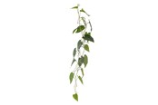 Dekoracje - Bloomingville Anthurium - 82061498