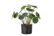 Dekoracje - Bloomingville Copper - 82061504