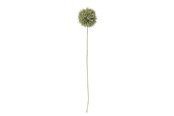 Dekoracje - Bloomingville Allium - 82061466