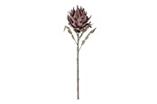 Dekoracje - Bloomingville Protea - 82061467