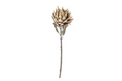 Dekoracje - Bloomingville Protea - 82061468