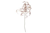 Dekoracje - Bloomingville Eucalyptus - 82061470