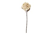Dekoracje - Bloomingville Hydrangea - 82061476