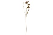 Dekoracje - Bloomingville Poppy - 82061477