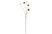 Dekoracje - Bloomingville Poppy - 82061478