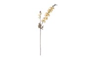 Dekoracje - Bloomingville Larkspur - 82061480