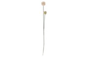 Dekoracje - Bloomingville Phlox - 82061506